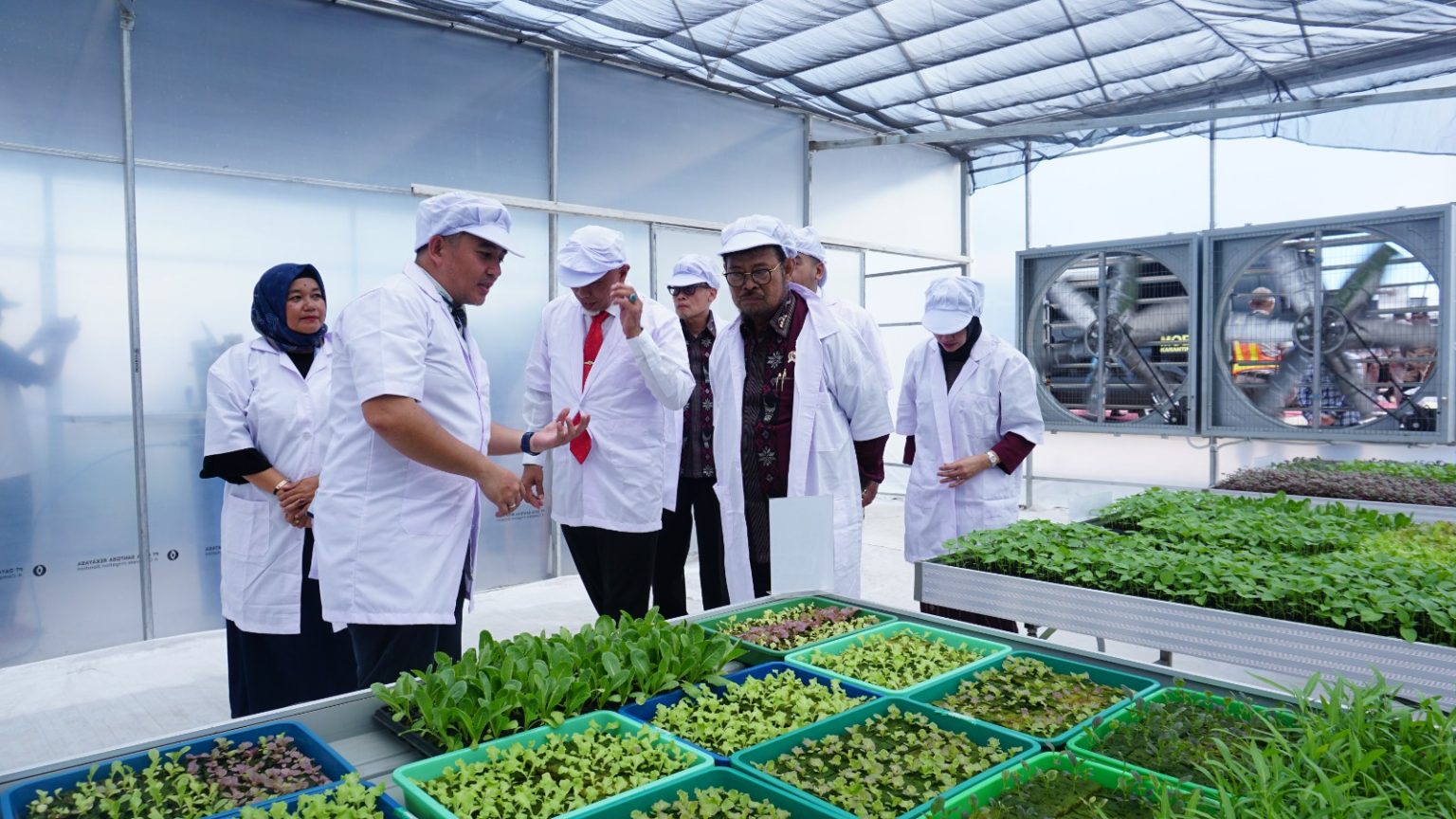 Inovasi Teknologi Dalam Pertanian Ramah Lingkungan Untuk Masa Depan